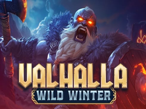 Valhalla Wild Winter game icon